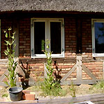 Steinberg